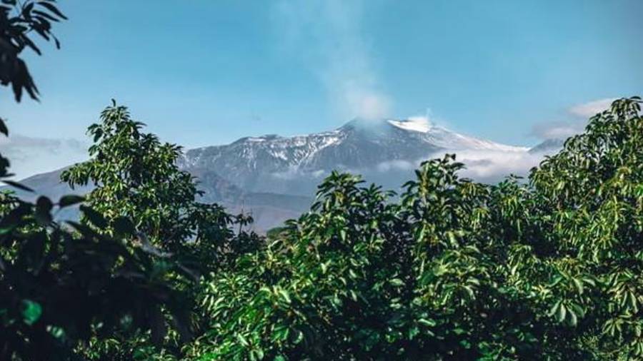 Con cada erupción, localidades como Giarre experimentan un promedio de 12.000 toneladas de ceniza al día.