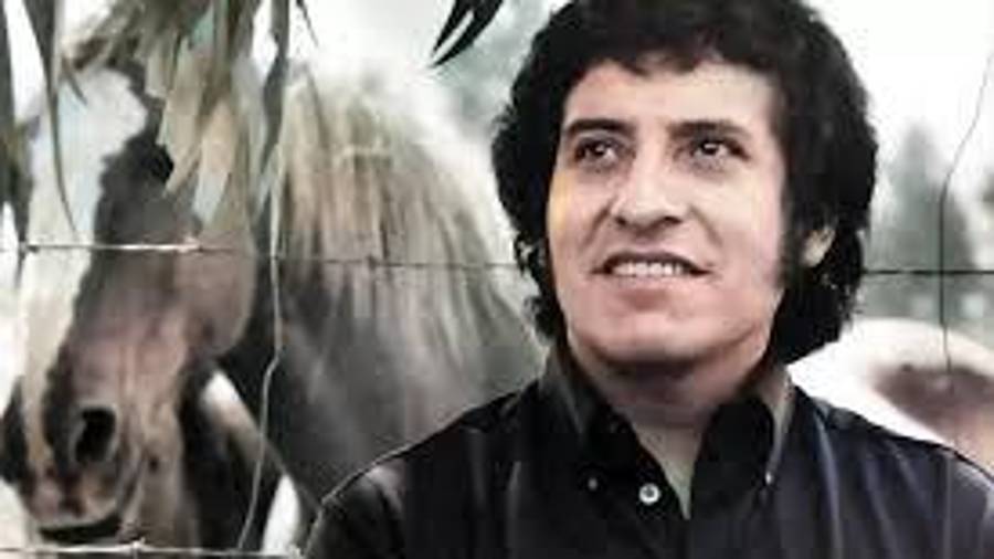 Te recuerdo, Víctor