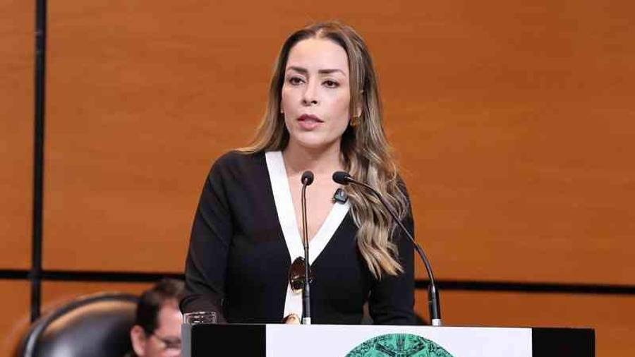 Verónica Martínez, diputada federal del PRI, durante una reunión legislativa.