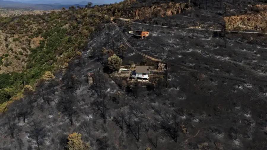 Un área arrasada por un incendio forestal rodea estructuras en El Tiemblo, provincia de Ávila, España, el jueves 30 de julio de 2026.