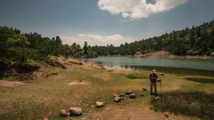 Viaje. Desde caminatas entre árboles hasta actividades de aventura, estos destinos combinan paisajes espectaculares con experiencias para disfrutar al aire libre.
