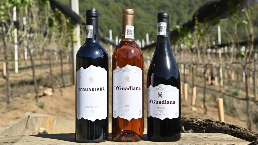 Entre viñedos, gastronomía y paisajes de montaña: la experiencia que posiciona a Vinos D’Guadiana como un destino imperdible en Coahuila