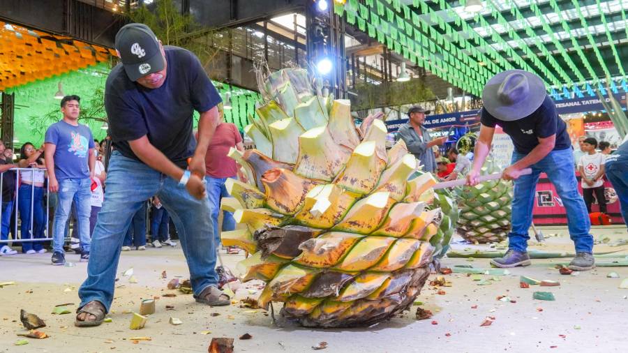 Feria del Mezcal Oaxaca 2026 va por récord de visitantes y mayores oportunidades de negocio