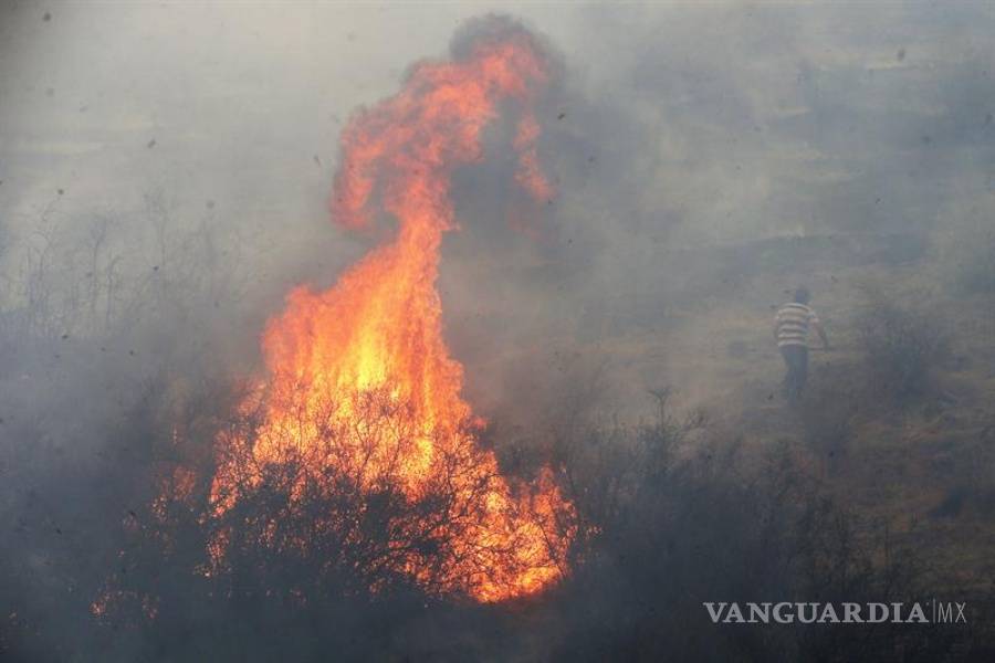 $!Se eleva a 11 los muertos por los incendios forestales en Chile
