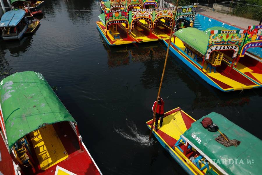 $!Reabren los “jardines flotantes” de Xochimilco en CDMX tras cinco meses