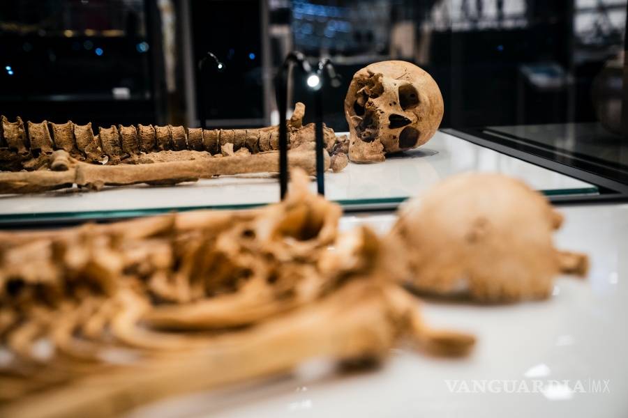$!Dos esqueletos emparentados de la era de los vikingos se reunirán en exposición