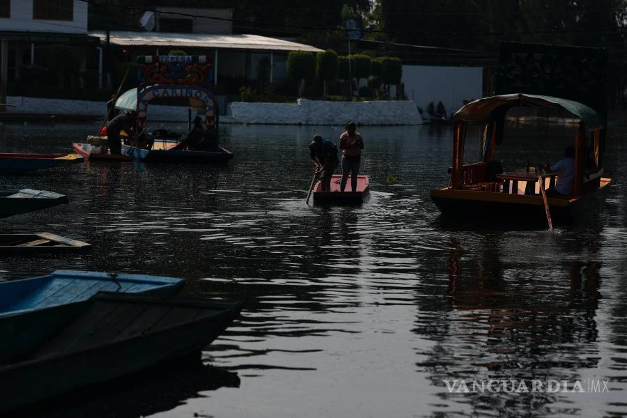 $!Reabren los “jardines flotantes” de Xochimilco en CDMX tras cinco meses