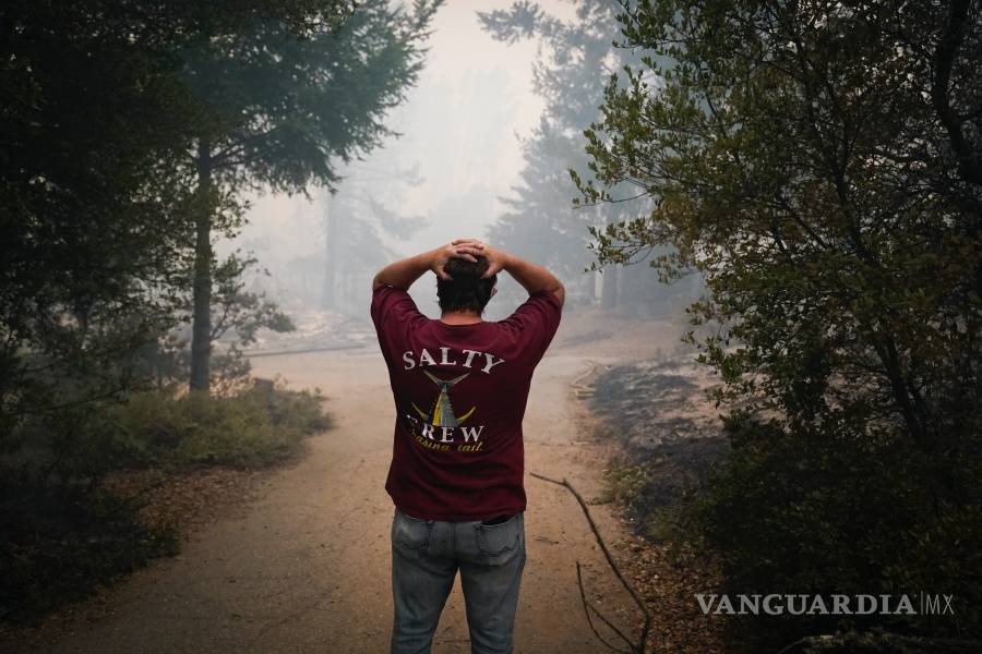 $!Incendios en California dejan 6 muertos, miles de casas en peligro