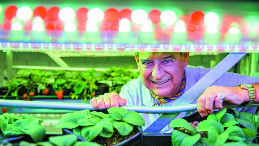 Leo Lobato Kelly en el laboratorio de KVF en la UAAAN.