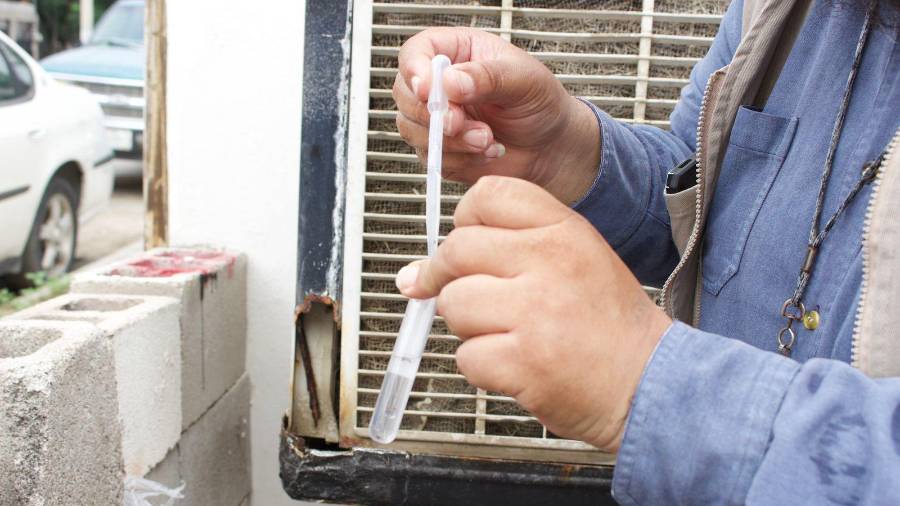 Tras las recientes precipitaciones en la zona, no se han detectado alertas sanitarias relacionadas con padecimientos dermatológicos, diarreas o infecciones.