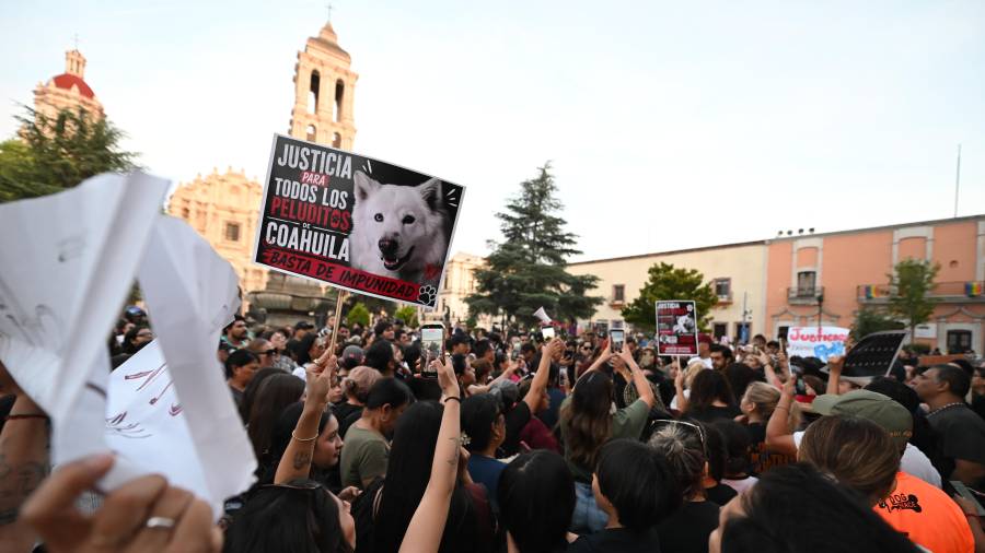 El caso de maltrato animal de Rocky deja un precedente en la ciudad.