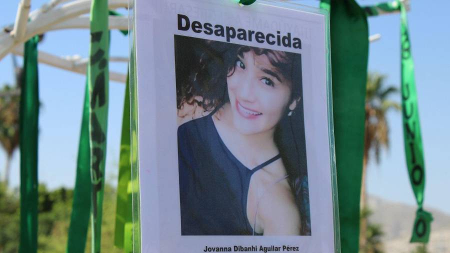 Jovanna Dibanhi desapareció en 2021; su expareja fue sentenciado a 75 años de prisión como autor del delito.