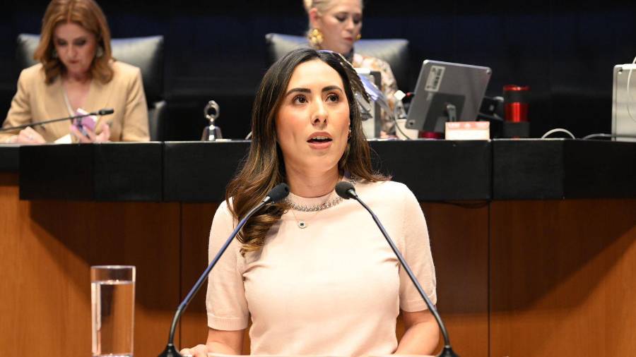 La legisladora morenista propuso incorporar la perspectiva de género en seguridad y justicia.