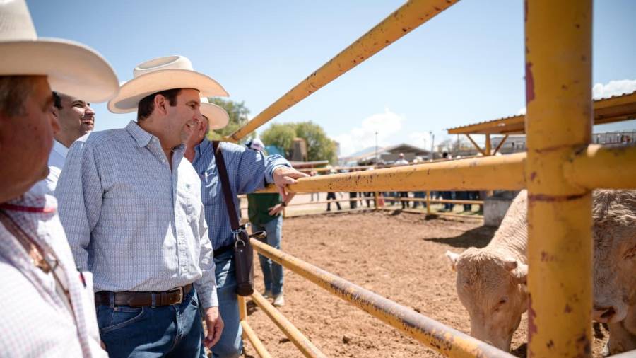 El alcalde Javier Díaz González durante el arranque del Programa de Mejoramiento Genético y Suplemento Ganadero 2025.