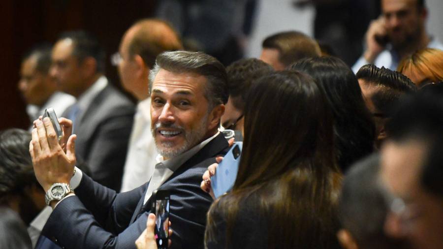 Sergio Mayer se separa de Morena