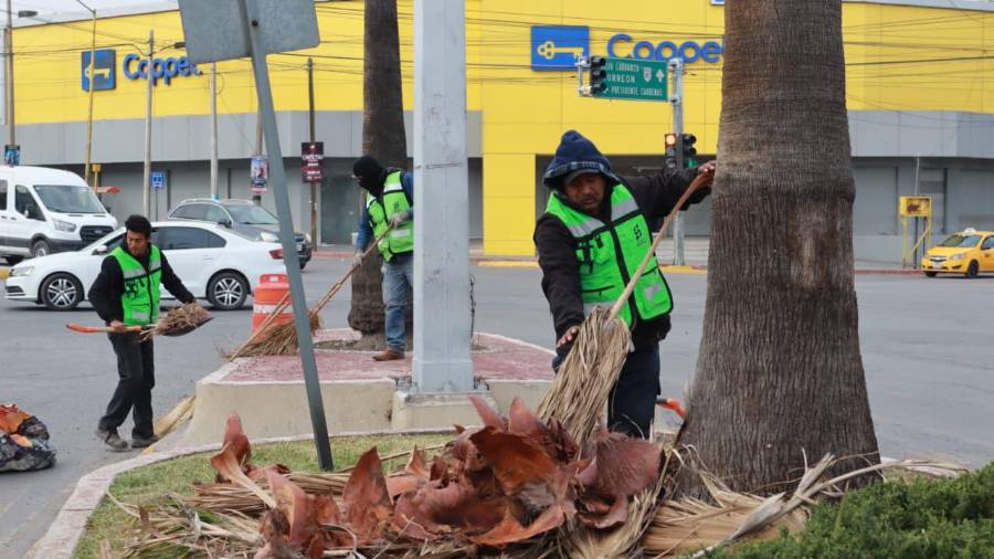 Los trabajos en el bulevar Francisco Coss abarcan el tramo de Isidro López Zertuche a Paseo de la Reforma y se replican en otros puntos de la ciudad.