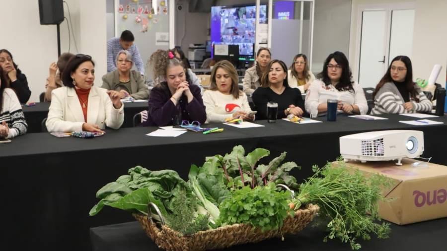 Estuvo dirigido principalmente a mujeres, amas de casa, emprendedoras y personas sin experiencia en agricultura.