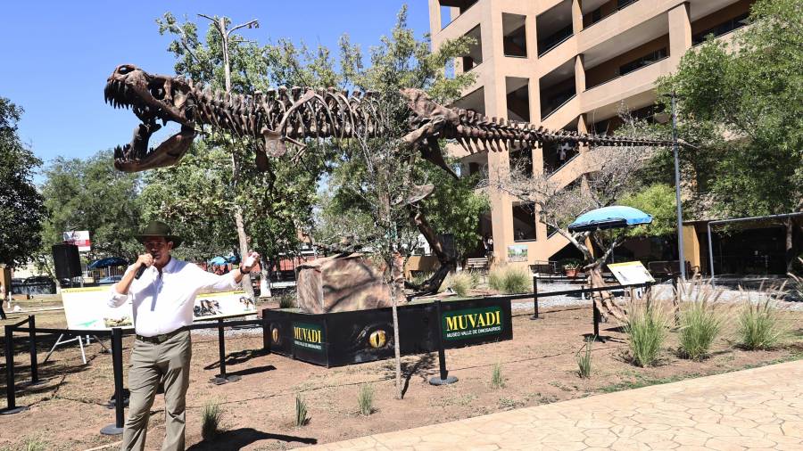 La paleoescultura del Tiranosaurio Rex fue instalada en el Tec de Monterrey, campus Saltillo.