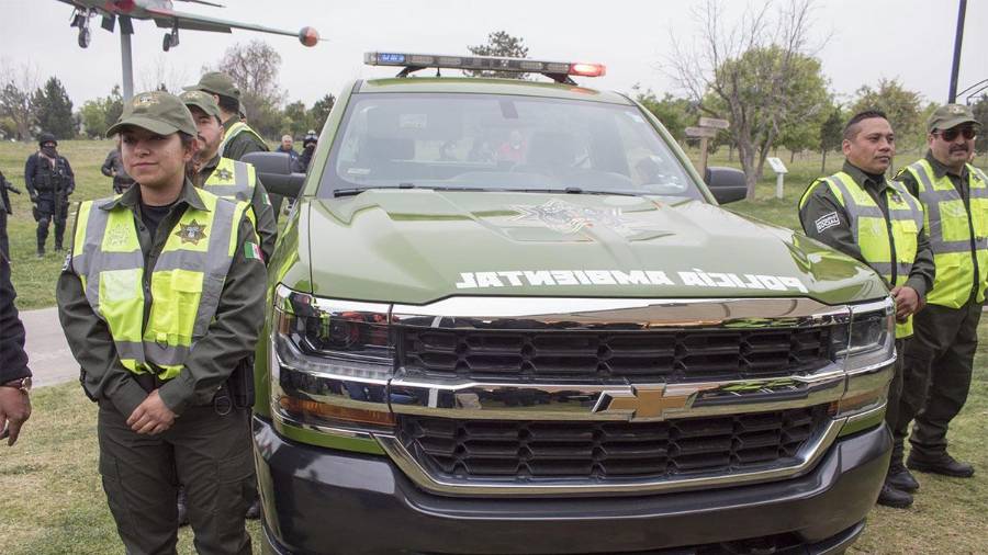 La Policía Ambiental de Saltillo pidió a los dueños de mascotas dejar a sus animales bajo el cuidado de personas responsables durante las vacaciones.