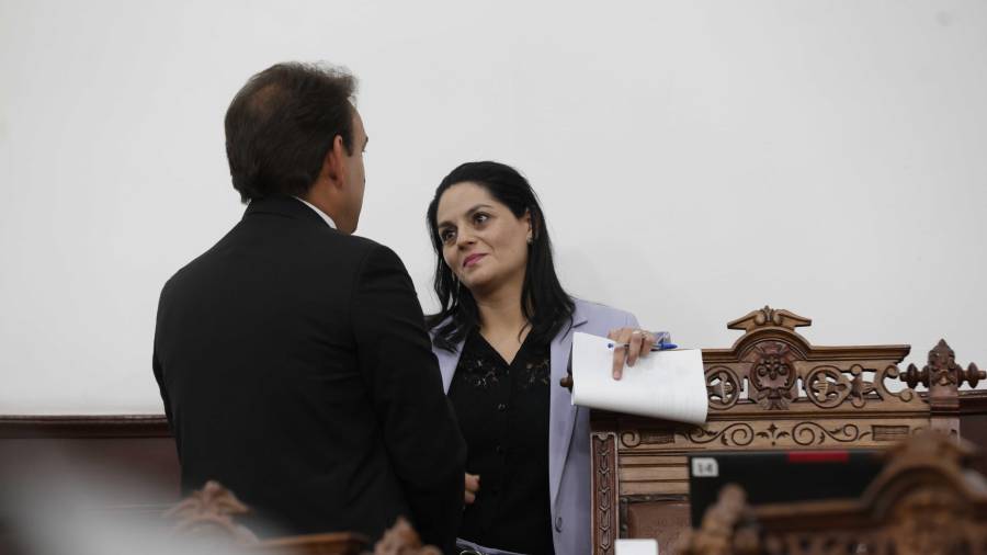 La diputada Luz Elena Morales pide al Congreso de la Unión liberar de gravámenes los bienes de exparejas, luego de firmar el divorcio.