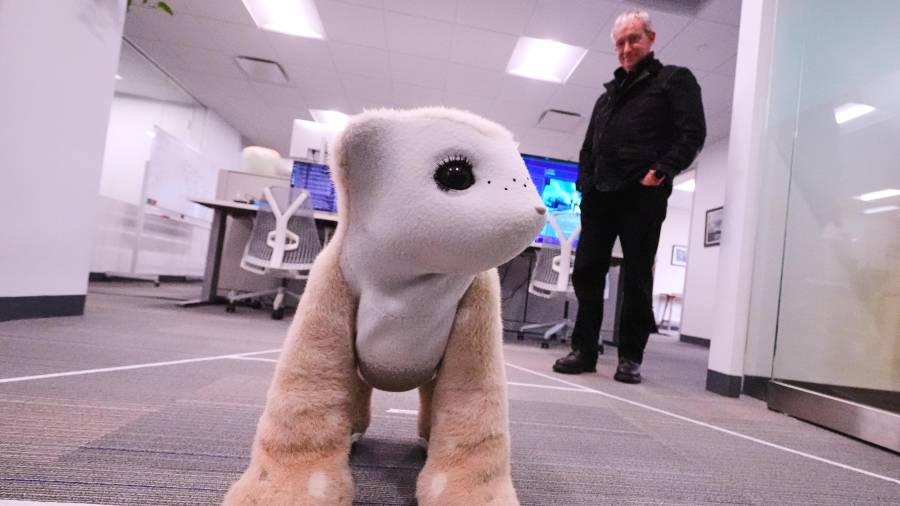 Colin Angle, cofundador y ex director ejecutivo del fabricante de aspiradoras Roomba, observa a Familiar, un prototipo de robot mascota con IA, en la empresa Familiar Machines &amp; Magic, en Woburn, Massachusetts.