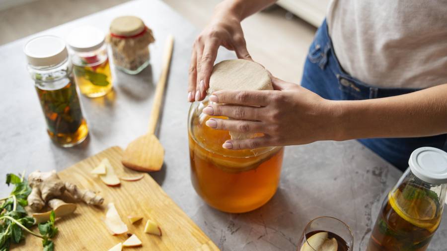 Diversificar las fuentes de alimentos fermentados permite enriquecer la comunidad microbiana intestinal más allá del kéfir.