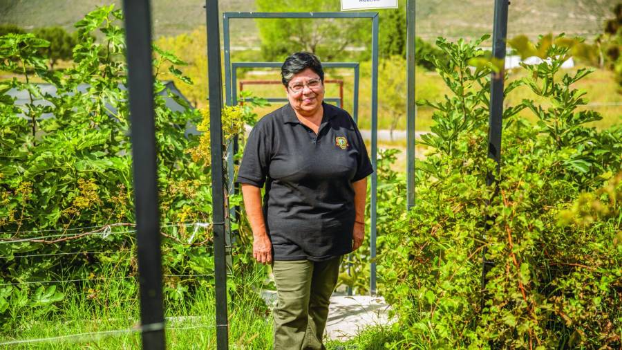 Alejandra Escobar en el huerto que creó en la UAAAN. Foto: