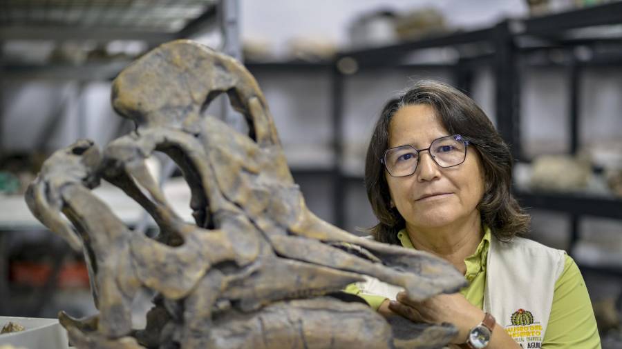 Martha Aguillón, la paleontóloga detrás del descubrimiento del primer tiranosaurio en Coahuila