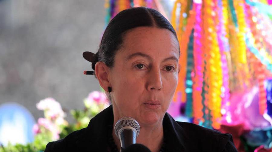 Cristina Faesler gestionó el pago de casi un millón de pesos para la producción e impresión de la obra literaria