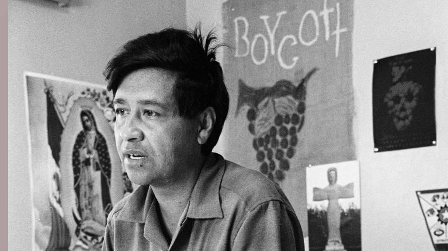 César Chávez, un trabajador agrícola, organizador laboral y líder de la huelga de la uva de Delano, California, fotografiado en 1965 en una oficina de California. (AP Foto, George Brich, Archivo)