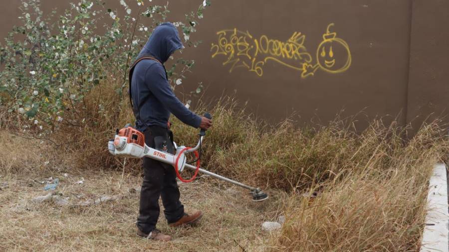 Las acciones buscan preservar el parque en óptimas condiciones y mantenerlo como un espacio seguro y agradable para las familias.