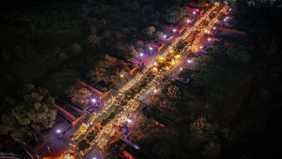 Más grande que nunca: Súmate al Magno Altar del Parque Las Maravillas con fotos, velas y flores