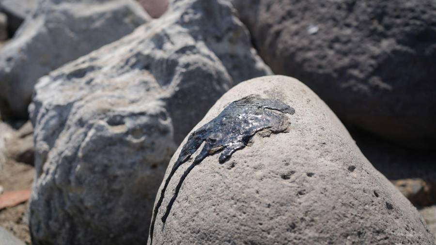 48% de comentarios hizo eco de la alerta que lanzó la organización Greenpeace por la afectación ecológica.