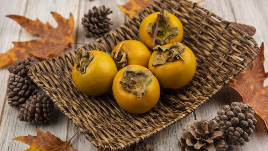 El tejocote es una de las frutas más antiguas y simbólicas de México.