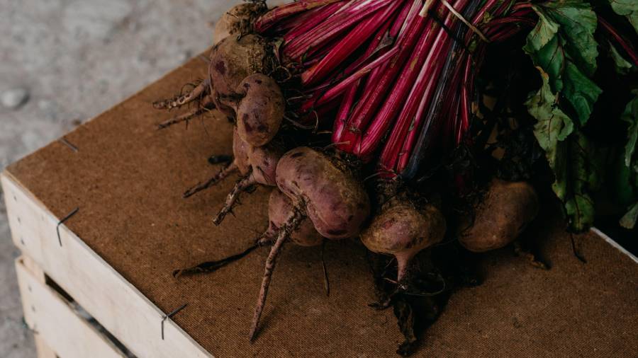 Las remolachas enteras conservan su fibra, por lo que pueden ser una alternativa más completa frente a su consumo en jugo.