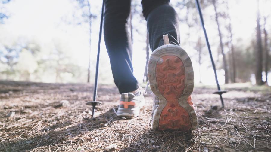 Las autoridades buscan establecer lineamientos que permitan mantener la actividad turística sin afectar el patrimonio de los habitantes de la región.