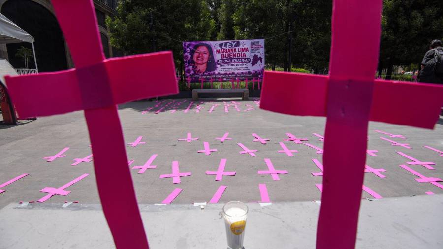 Irinea Buendía, madre de Mariana Lima, víctima de feminicidio, acudió a la Cámara de Diputados local, acompañada de otras madres de víctimas de feminicidio, para exigir al gobierno estatal que garantice que la Ley Mariana Lima, que entró en vigor el pasado 26 de septiembre, no quede solo en el papel.