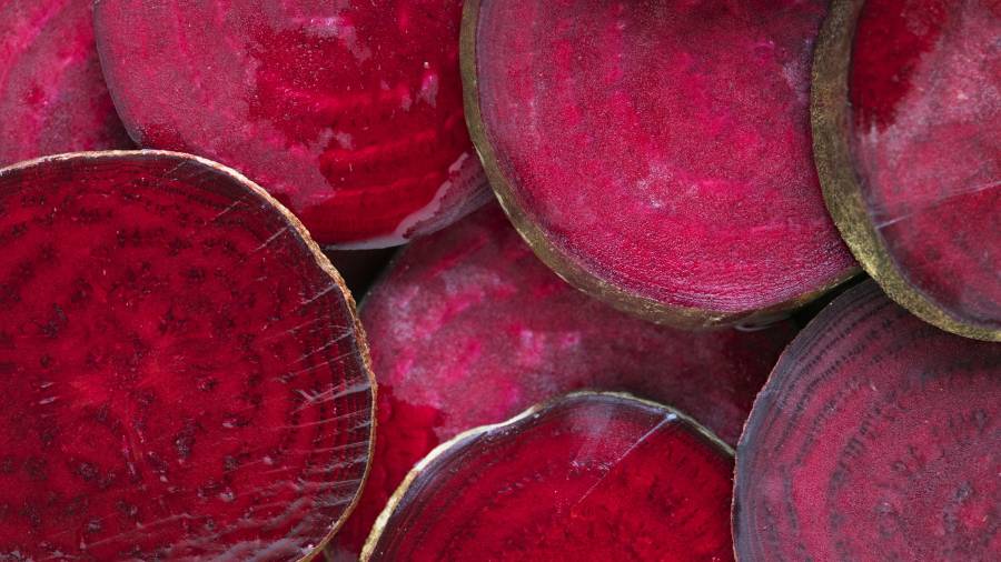 El betabel —también conocido como remolacha— se originó a partir de una especie silvestre marina.
