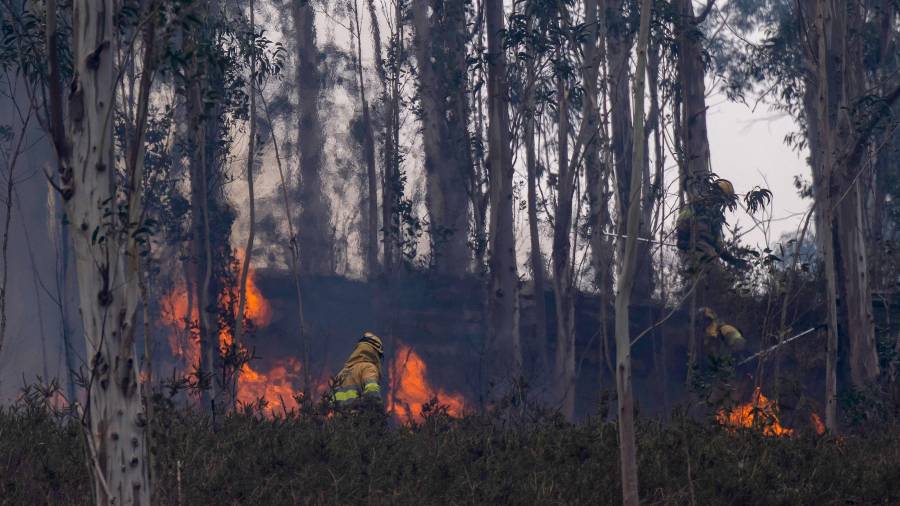 El fuego devastó 185 hectáreas y derribó postes de la CFE en la carretera estatal 20, a la altura del rancho San Francisco.