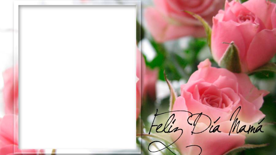 6 apps para hacer tarjetas digitales para el 10 de mayo