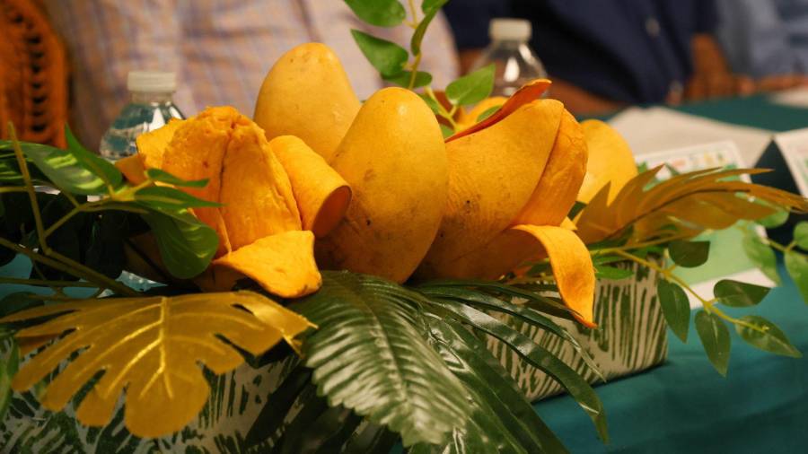 Se inspeccionan los embarques al inicio del proceso de exportación; si se detecta una alerta sanitaria, se detiene el envío de fruta proveniente del huerto involucrado.