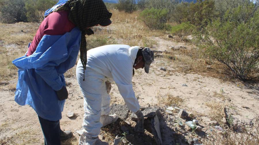 El ejido Patrocinio, en San Pedro de las Colonias, fue campo de exterminio de Los Zetas.