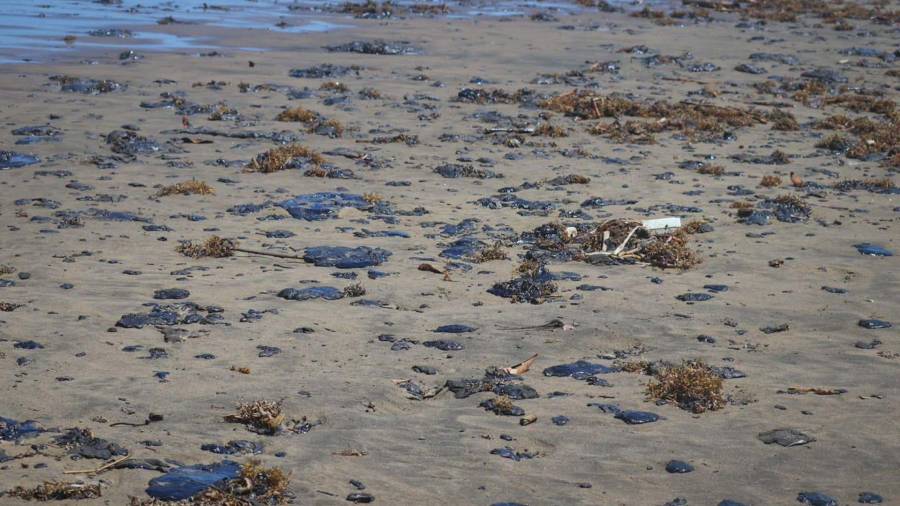 Las playas costeras sufren las consecuencias del derrame oculto por Pemex., la falta de alerta oportuna dejó a las comunidades y ecosistemas vulnerables al arribo del hidrocarburo.