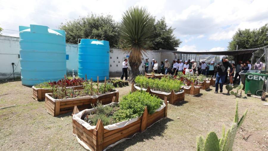 El Huerto Urbano cuenta con áreas destinadas al cultivo de hortalizas y al desarrollo de talleres sobre compostaje, alimentación saludable y aprovechamiento de los recursos naturales.