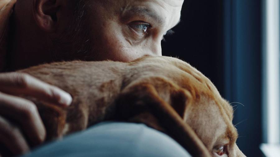 De niño, Dhruv Kazi estaba obsesionado con los perros.