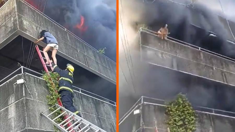 Una mujer realizó un acto heroico para salvar su vida y la de sus mascotas de un voraz incendio en el edificio donde vivían.