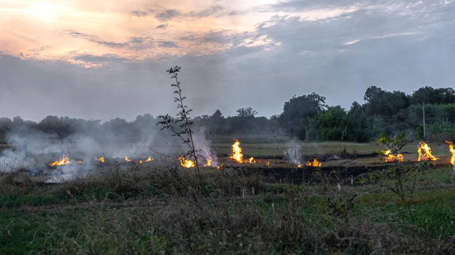 Un total de 79 combatientes continúan las labores para controlar y liquidar el incendio forestal que permanece activo en el municipio de Candela.