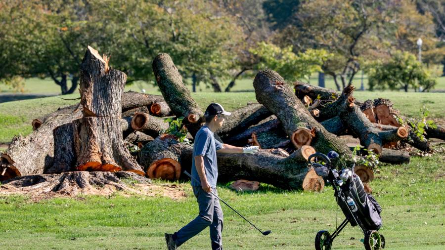 Un golfista camina cerca troncos cortados de árboles en el East Potomac Golf Links, en Washington.