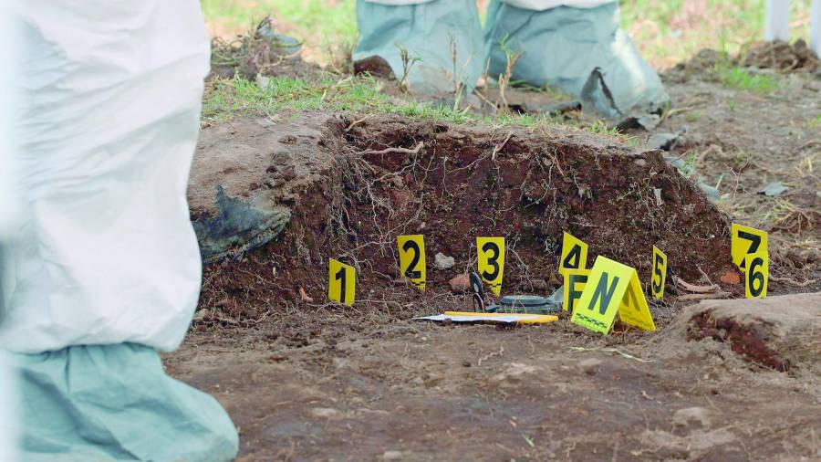 Personal de antropología forense realiza estudios para establecer las características de la persona a la que pertenecieron los restos.