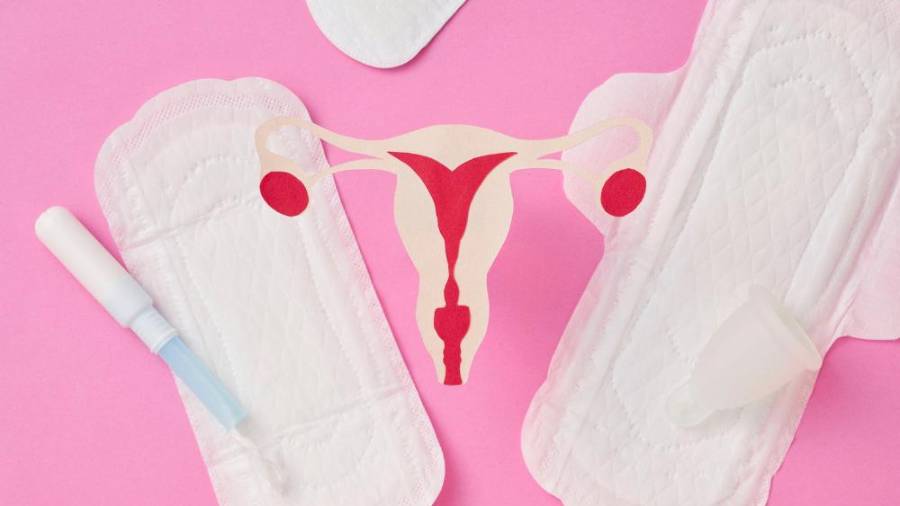 El Gobierno de México impulsó la Estrategia Nacional por una Menstruación Digna, con el fin de dar un paso decisivo hacia la igualdad y permanencia escolar de las niñas y adolescentes.